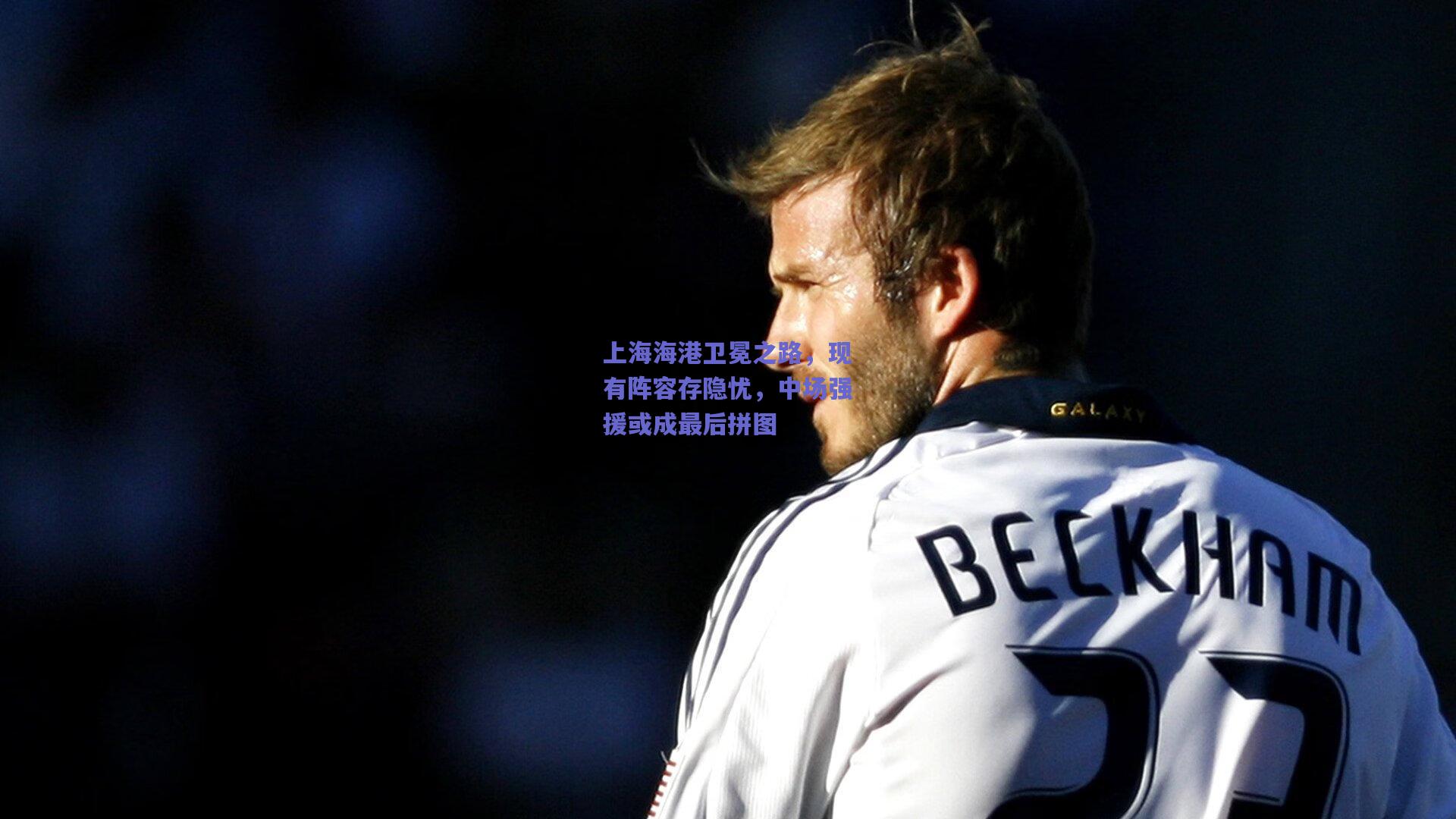 上海海港卫冕之路,现有阵容存隐忧,中场强援或成最后拼图